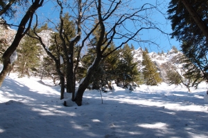 Názov súboru=BielaSkala_01.JPG
Veľkosť súboru=1431KB
Veľkosť=1296x864
Dátum pridania=11. Marec 2012 BielaSkala_01.JPG