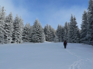 Názov súboru=Chab01.JPG
Veľkosť súboru=1024KB
Veľkosť=1152x864
Dátum pridania=27. Január 2011 Chab01.JPG