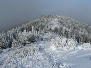 Názov súboru=Chab06.JPG
Veľkosť súboru=1101KB
Veľkosť=1152x864
Dátum pridania=27. Január 2011 Chab06.JPG