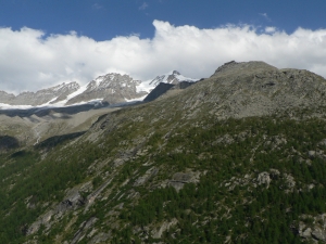 P1060481_2.jpg