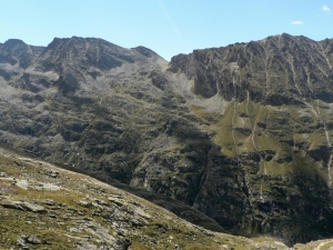 P1060686_1.jpg