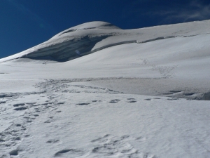 P1060785_1.jpg