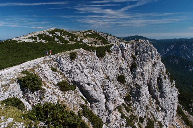 Kliknite pre zobrazenie veľkého obrázka