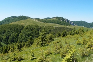 Názov súboru=Kralova_studna04.JPG
Veľkosť súboru=1426KB
Veľkosť=1296x864
Dátum pridania=07. Február 2013 Kralova_studna04.JPG