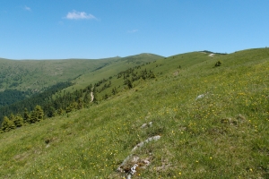 Názov súboru=Kralova_studna13.JPG
Veľkosť súboru=1347KB
Veľkosť=1296x864
Dátum pridania=07. Február 2013 Kralova_studna13.JPG