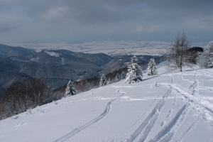 Názov súboru=P2092116.JPG
Veľkosť súboru=922KB
Veľkosť=1296x864
Dátum pridania=13. Apríl 2013 P2092116.JPG