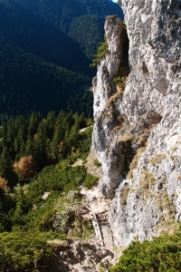 Názov súboru=MalyRozs_07.JPG
Veľkosť súboru=750KB
Veľkosť=576x864
Dátum pridania=06. Február 2012 MalyRozs_07.JPG