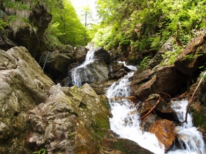 Názov súboru=Martinske_hole_Ferrata_HZS_06.JPG
Veľkosť súboru=1401KB
Veľkosť=1152x864
Dátum pridania=07. Január 2015 Martinske_hole_Ferrata_HZS_06.JPG