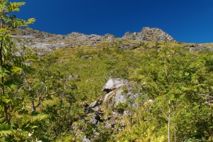 Názov súboru=Reinebringen05.JPG
Veľkosť súboru=1637KB
Veľkosť=1296x864
Dátum pridania=23. September 2013 Reinebringen05.JPG