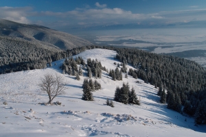 Názov súboru=Sivy_vrch_zima07.JPG
Veľkosť súboru=1208KB
Veľkosť=1296x864
Dátum pridania=19. Február 2014 Sivy_vrch_zima07.JPG