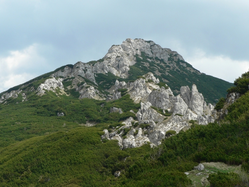 Kliknite pre zobrazenie veľkého obrázka