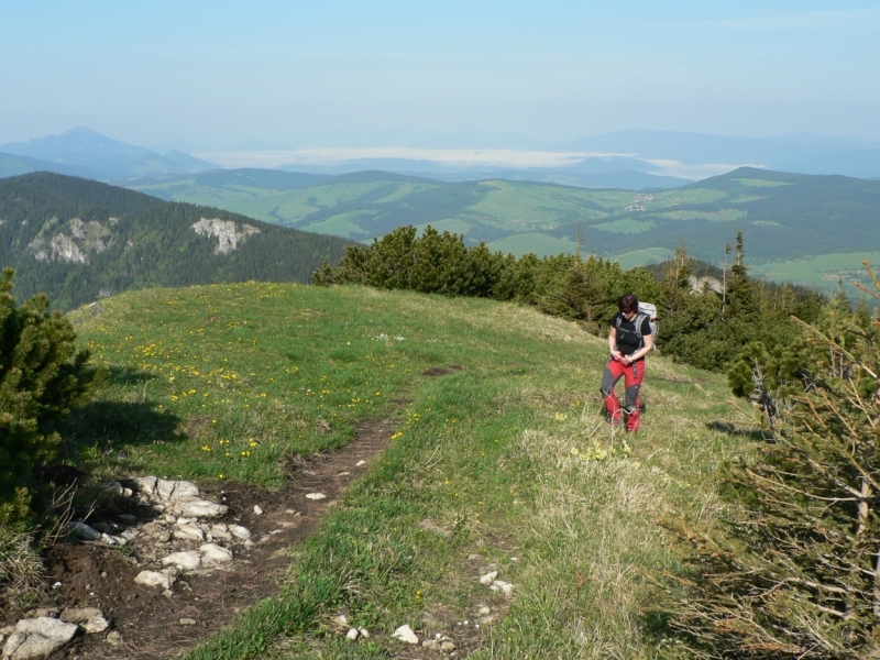 Kliknite pre zobrazenie veľkého obrázka