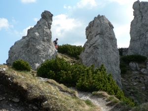 Názov súboru=SV09.JPG
Veľkosť súboru=1093KB
Veľkosť=1152x864
Dátum pridania=02. Jún 2011 SV09.JPG