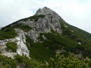 Názov súboru=SV20.JPG
Veľkosť súboru=1072KB
Veľkosť=1152x864
Dátum pridania=02. Jún 2011 SV20.JPG