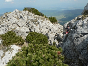 Názov súboru=SV23.JPG
Veľkosť súboru=1292KB
Veľkosť=1152x864
Dátum pridania=02. Jún 2011 SV23.JPG