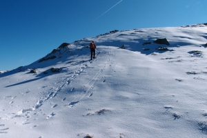 Názov súboru=Skalka_15.JPG
Veľkosť súboru=1137KB
Veľkosť=1296x864
Dátum pridania=19. November 2011 Skalka_15.JPG