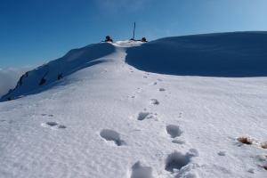 Názov súboru=Skalka_19.JPG
Veľkosť súboru=966KB
Veľkosť=1296x864
Dátum pridania=19. November 2011 Skalka_19.JPG