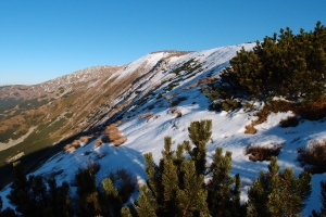 Názov súboru=Skalka_33.JPG
Veľkosť súboru=1296KB
Veľkosť=1296x864
Dátum pridania=19. November 2011 Skalka_33.JPG