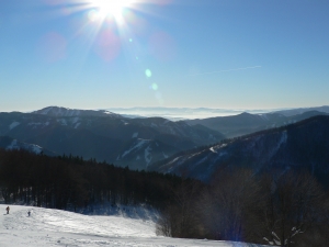 P1000332.JPG