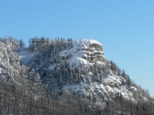 P1000341.JPG