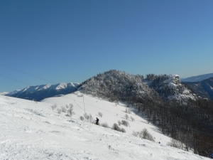 P1000344.JPG