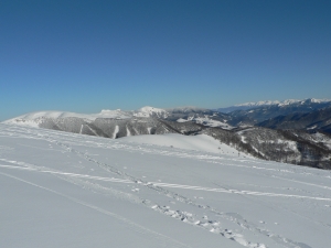 P1000353.JPG