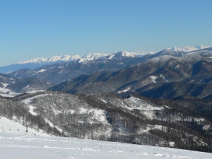 P1000357.jpg