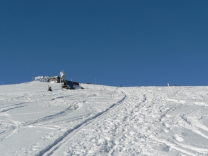 P1000358.jpg