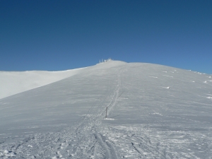 P1000359.jpg