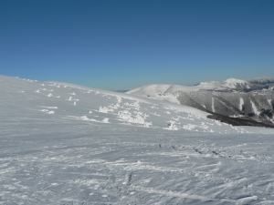 P1000361.jpg