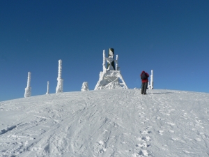 P1000364.jpg