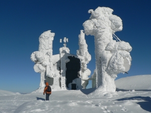 P1000375.jpg