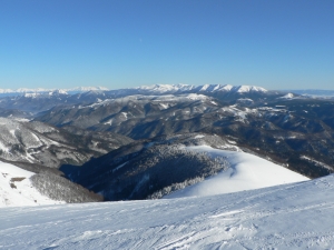 P1000391.jpg