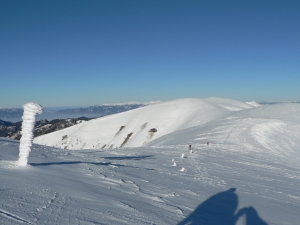P1000393.jpg