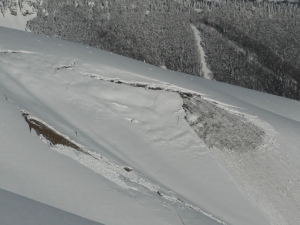 P1000394.jpg
