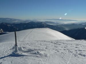 P1000395.jpg