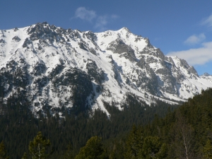 P1050006.jpg