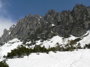 P1050018.jpg