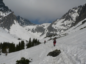 P1050023.jpg