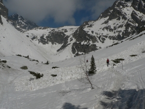 P1050026.jpg