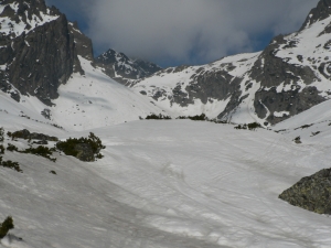 P1050031.jpg