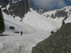 P1050033.jpg