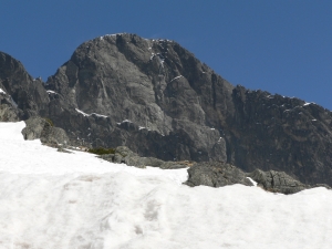 P1050061.jpg