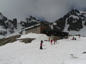 P1050068.jpg