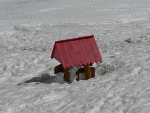 P1050079.jpg