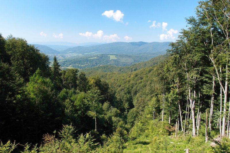 Kliknite pre zobrazenie veľkého obrázka