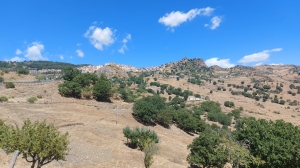 F_Celok_Sicilia_5.jpg