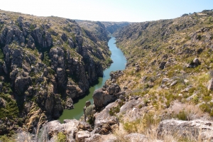 Názov súboru=F_Douro01.JPG
Veľkosť súboru=1547KB
Veľkosť=1296x864
Dátum pridania=09. Január 2021 F_Douro01.JPG