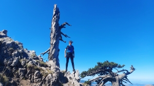 H_Apeniny_8.jpg